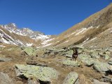IMG_0098