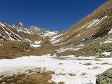 IMG_0110