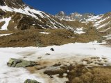 IMG_0111