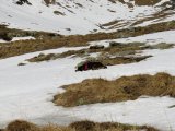 IMG_0131