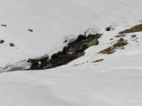 IMG_0149