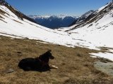 IMG_0154