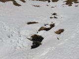 IMG_0179