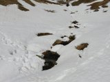 IMG_0180