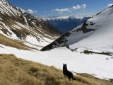 IMG_0199