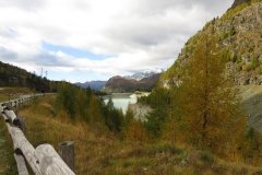 IMG_0001