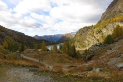 IMG_0003