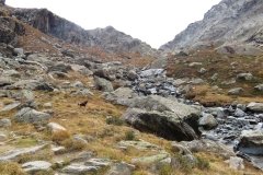 IMG_0036