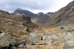 IMG_0038