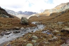 IMG_0054