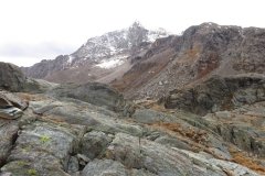 IMG_0079
