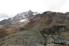 IMG_0098