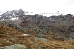IMG_0122
