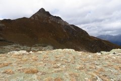 IMG_0146