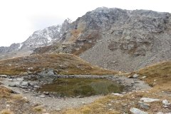 IMG_0200