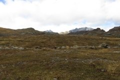 IMG_0234