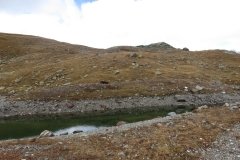 IMG_0247