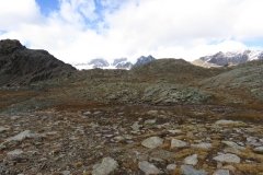 IMG_0295
