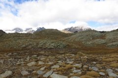 IMG_0306