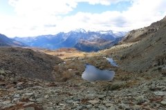 IMG_0321