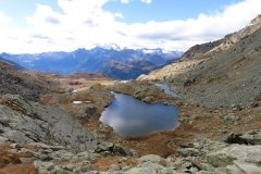 IMG_0346