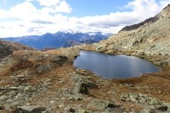 IMG_0356