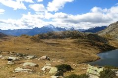 IMG_0378