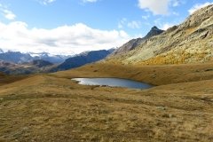 IMG_0387