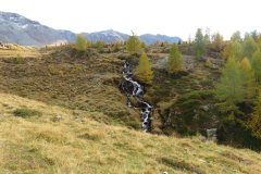 IMG_0405