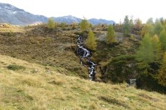 IMG_0407