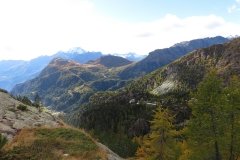 IMG_0414