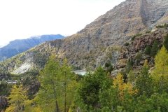 IMG_0417