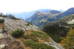 IMG_0420