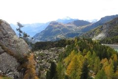IMG_0427