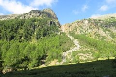 IMG_0001