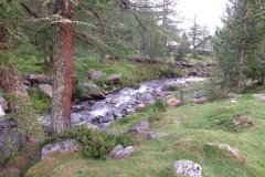 IMG_0003