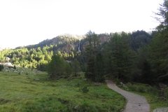IMG_0006