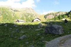 IMG_0019