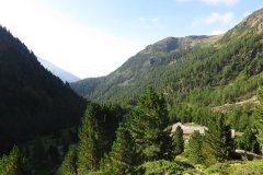 IMG_0025