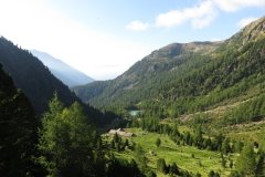 IMG_0027