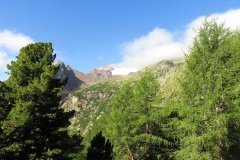 IMG_0031