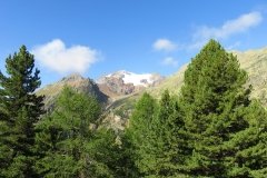 IMG_0043
