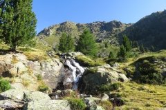 IMG_0047