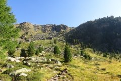 IMG_0051