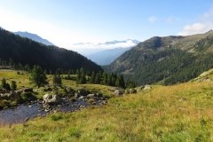 IMG_0060