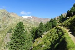 IMG_0068