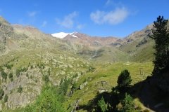 IMG_0073