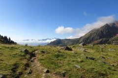 IMG_0082