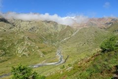 IMG_0084