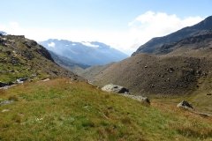 IMG_0122
